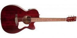 Art and Lutherie Legacy